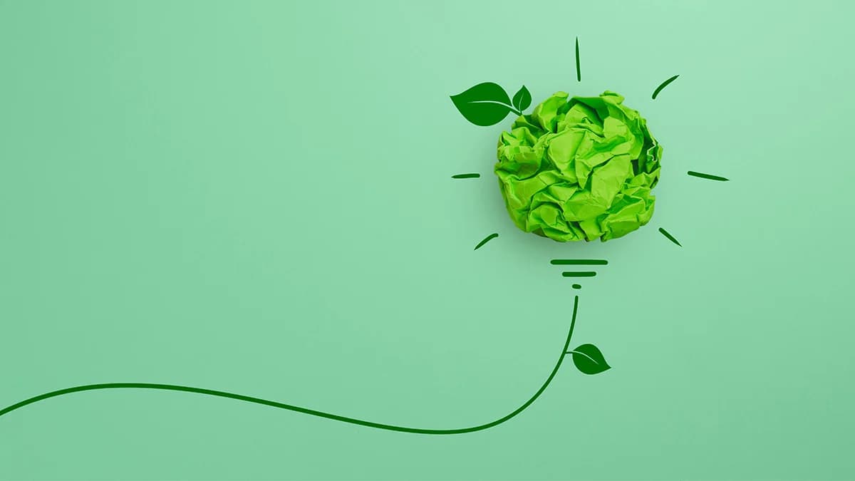 A group of diverse hands holding a small green sprout, symbolizing community and growth.