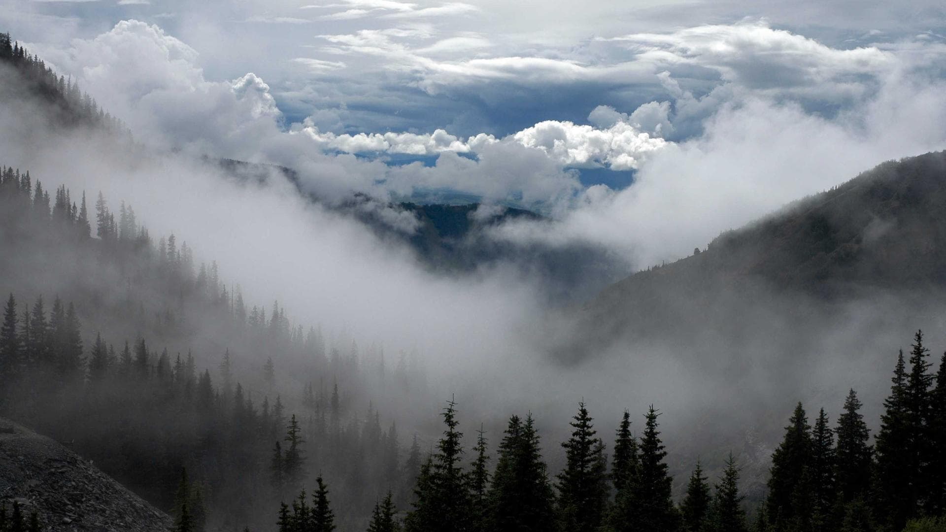 Warehouse with shelves of industrial parts