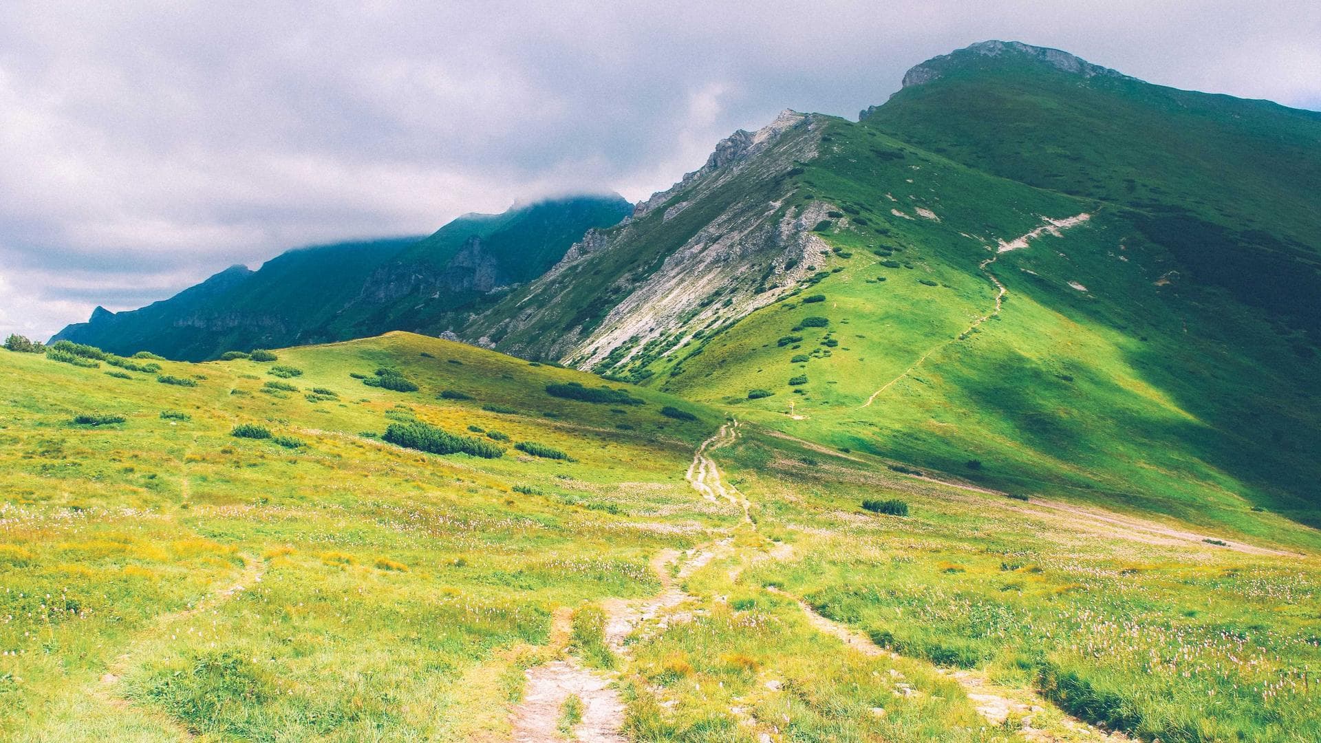 High-precision linear guideway from Schneeberger.